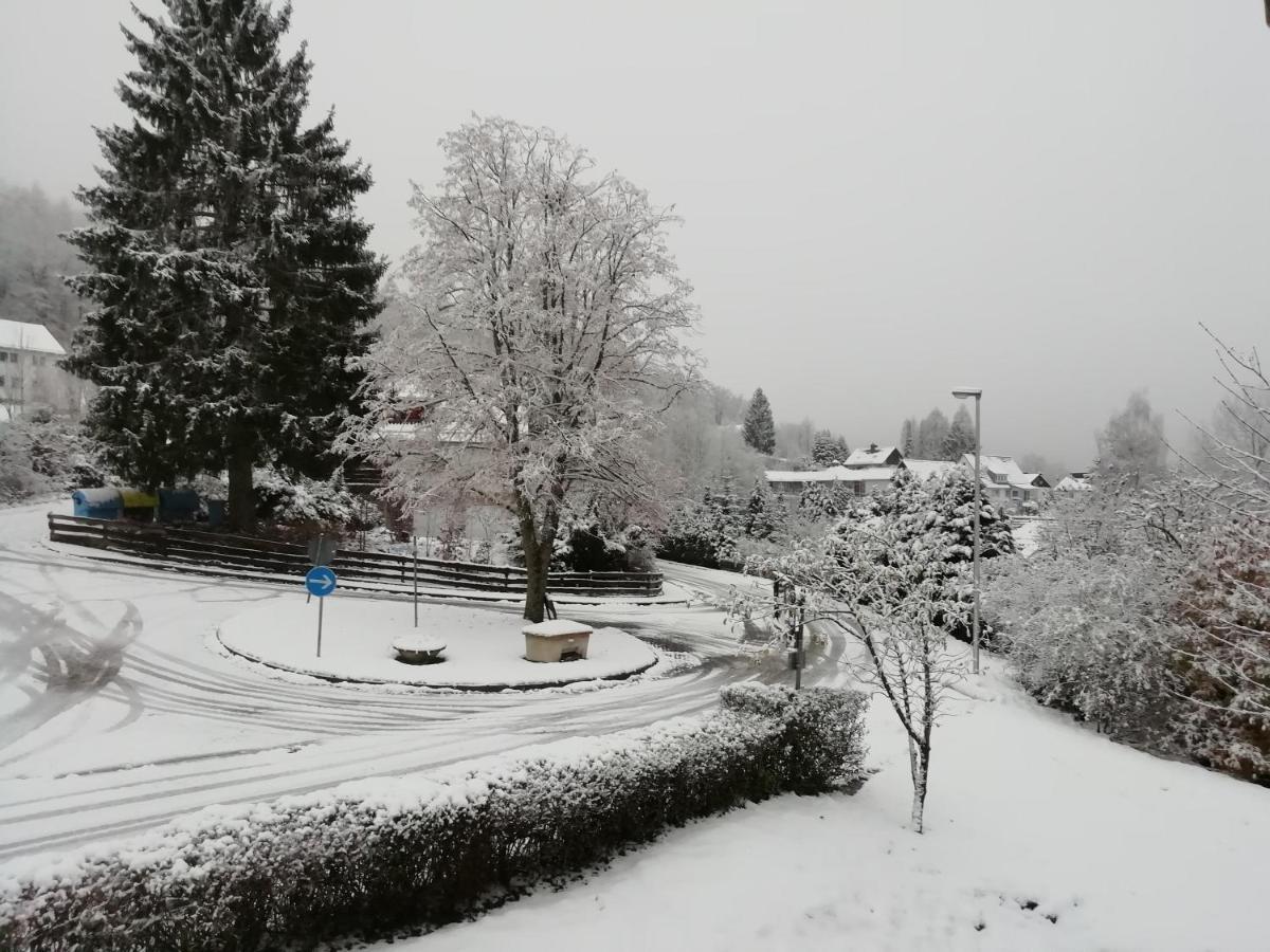 Schoene Aussicht Wieda Apartament Walkenried